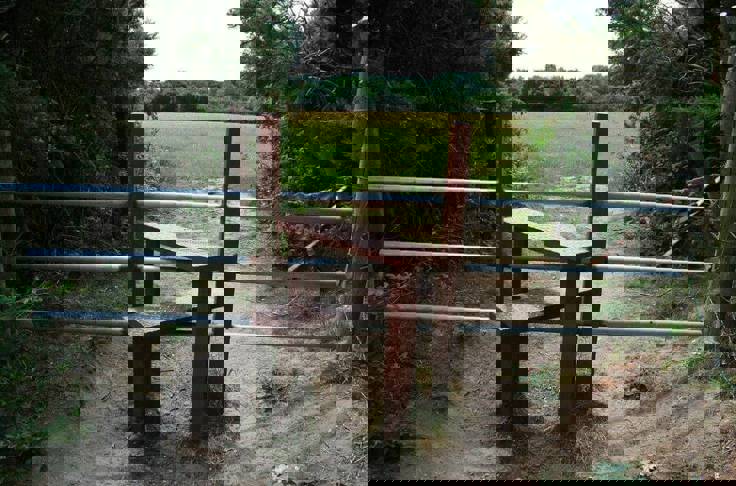 Financial Advice In Talbot Woods, Bournemouth