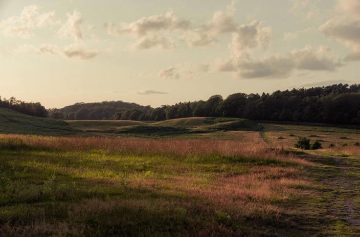 Financial Advice In Newtown Linford, Leicester