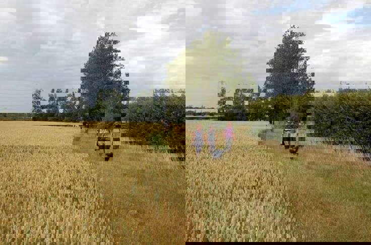 Financial Advice In Tillingham