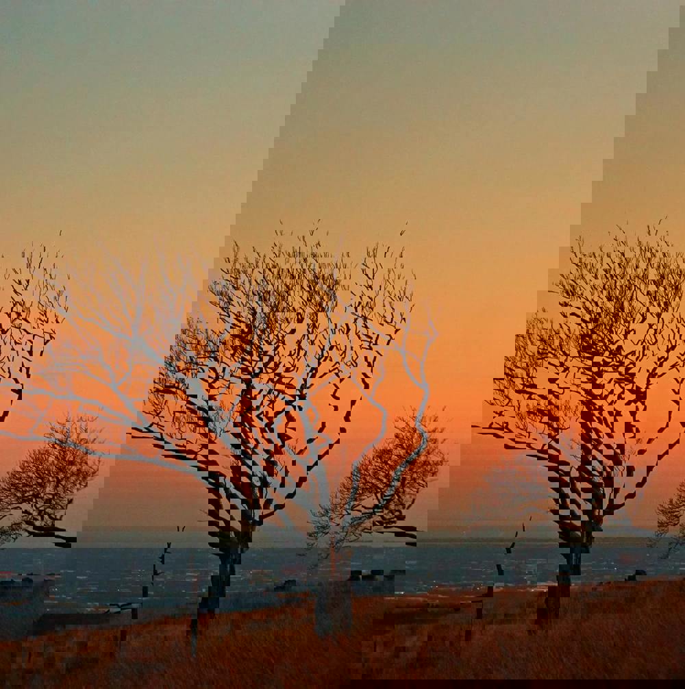 Average Pension In Bolton