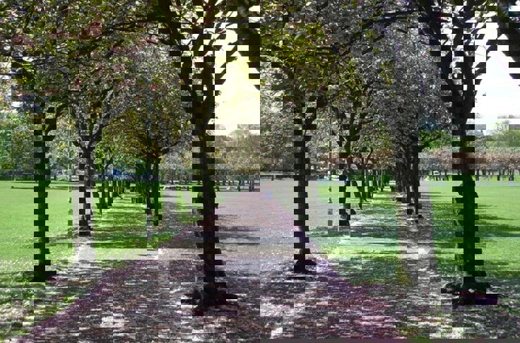 Marchmont