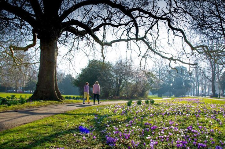 Financial Advice In Cheltenham, Gloucester