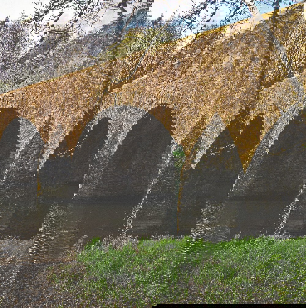 Average Pension In Belfast