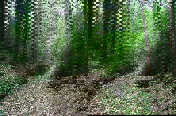 Financial Advice In Plymstock, Plymouth